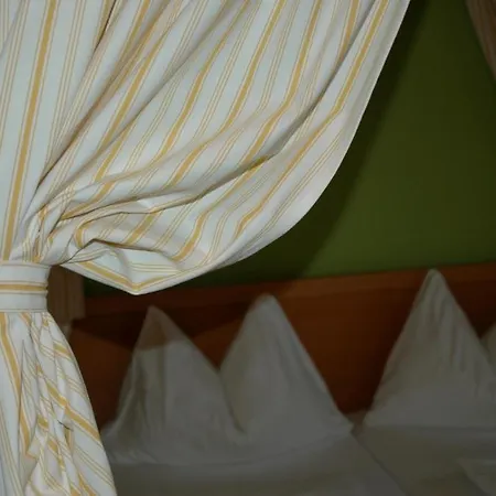 艾德维尼斯加特豪斯尼科来霍夫加尔尼酒店 酒店