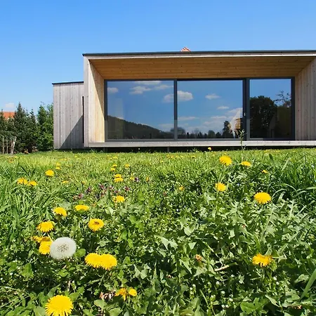 Ad Vineas Gaestehaus Nikolaihof-hotel Garni