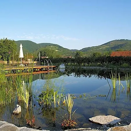 Hotel Ad Vineas Gaestehaus Nikolaihof-hotel Garni 4*