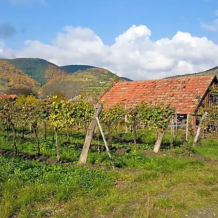 Ad Vineas Gaestehaus Nikolaihof-hotel Garni Hotel Mautern