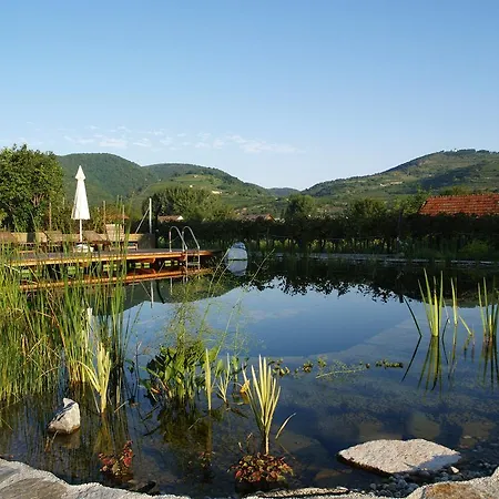 艾德维尼斯加特豪斯尼科来霍夫加尔尼酒店 毛特恩