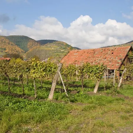 Отель Ad Vineas Gaestehaus Nikolaihof-hotel Garni 4*