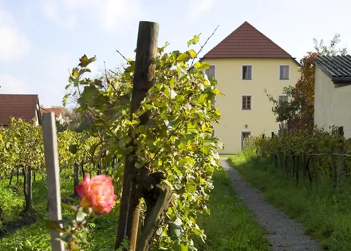 Ad Vineas Gaestehaus Nikolaihof-hotel Garni فندق 4*