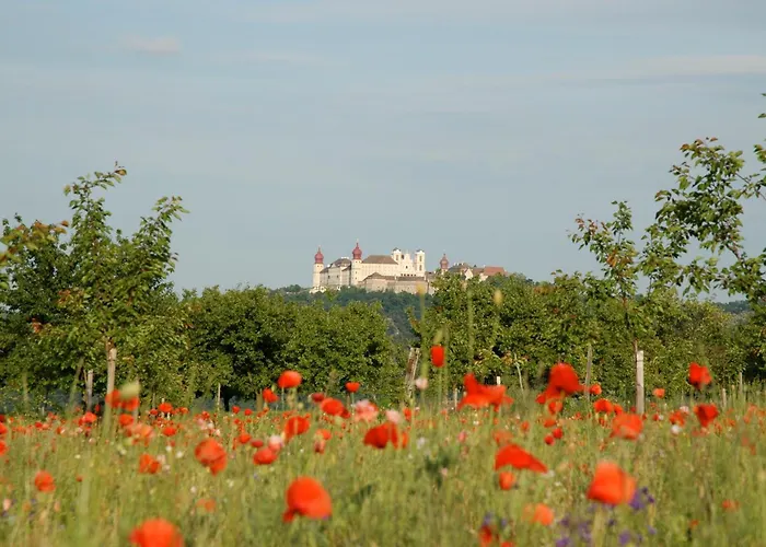 Ad Vineas Gaestehaus Nikolaihof-hotel Garni فندق 4*