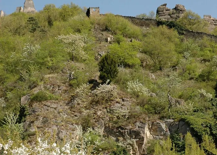 Ad Vineas Gaestehaus Nikolaihof-hotel Garni מלון