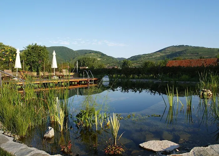 Ad Vineas Gaestehaus Nikolaihof-hotel Garni ماوتيرن