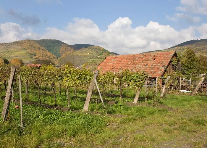 فندق Ad Vineas Gaestehaus Nikolaihof-hotel Garni 4*